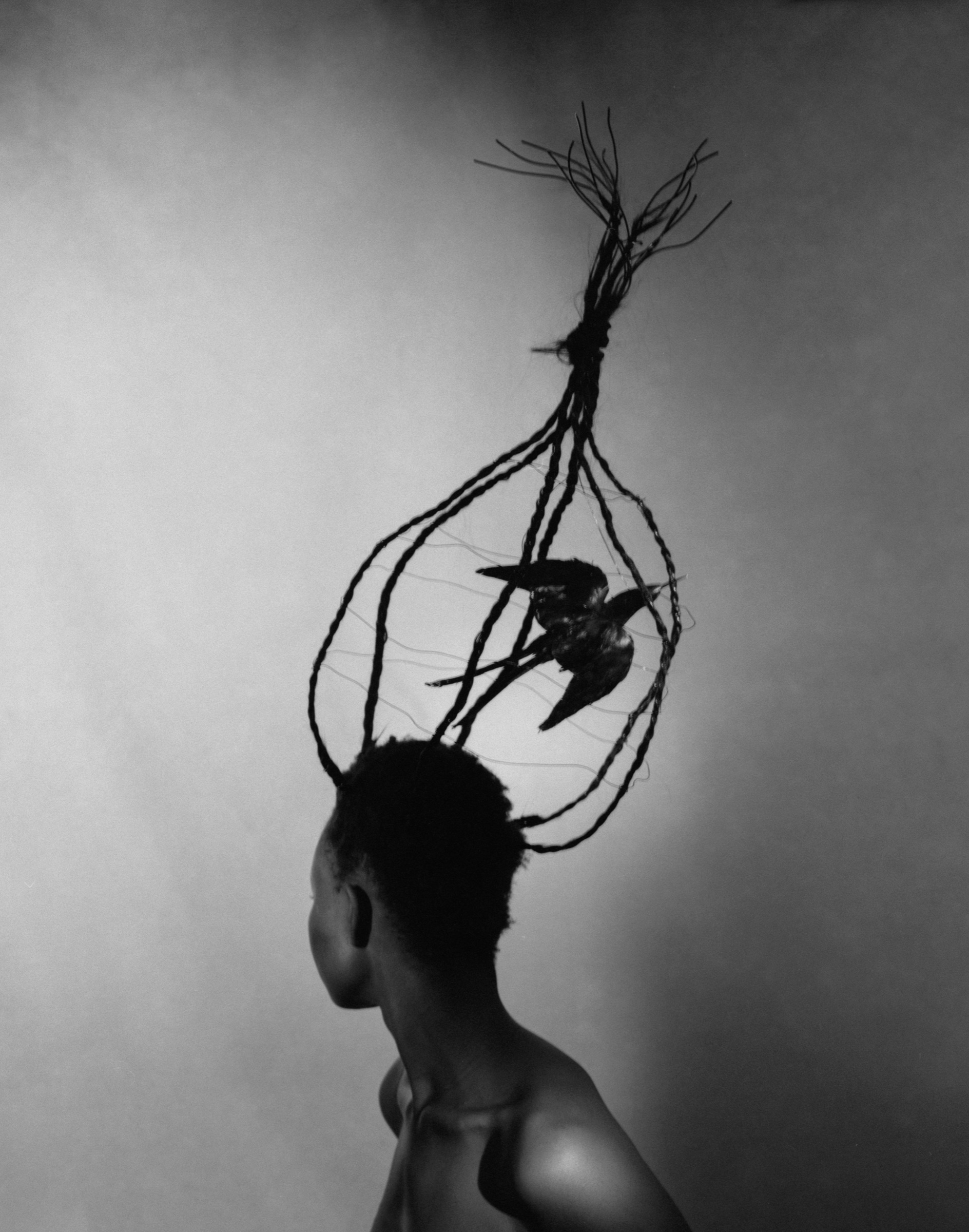 Hair as Identity 4