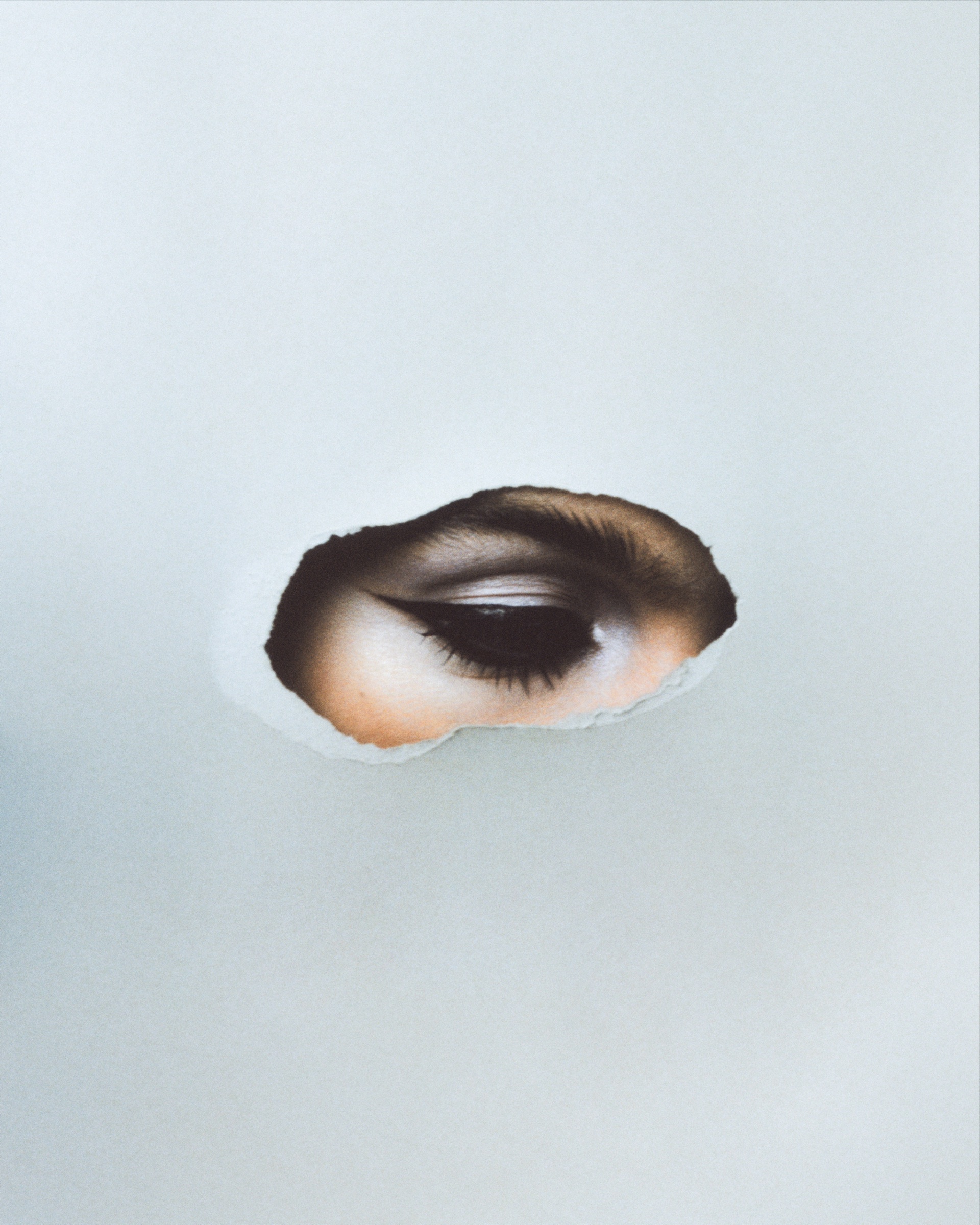 Study VI — Mily 4