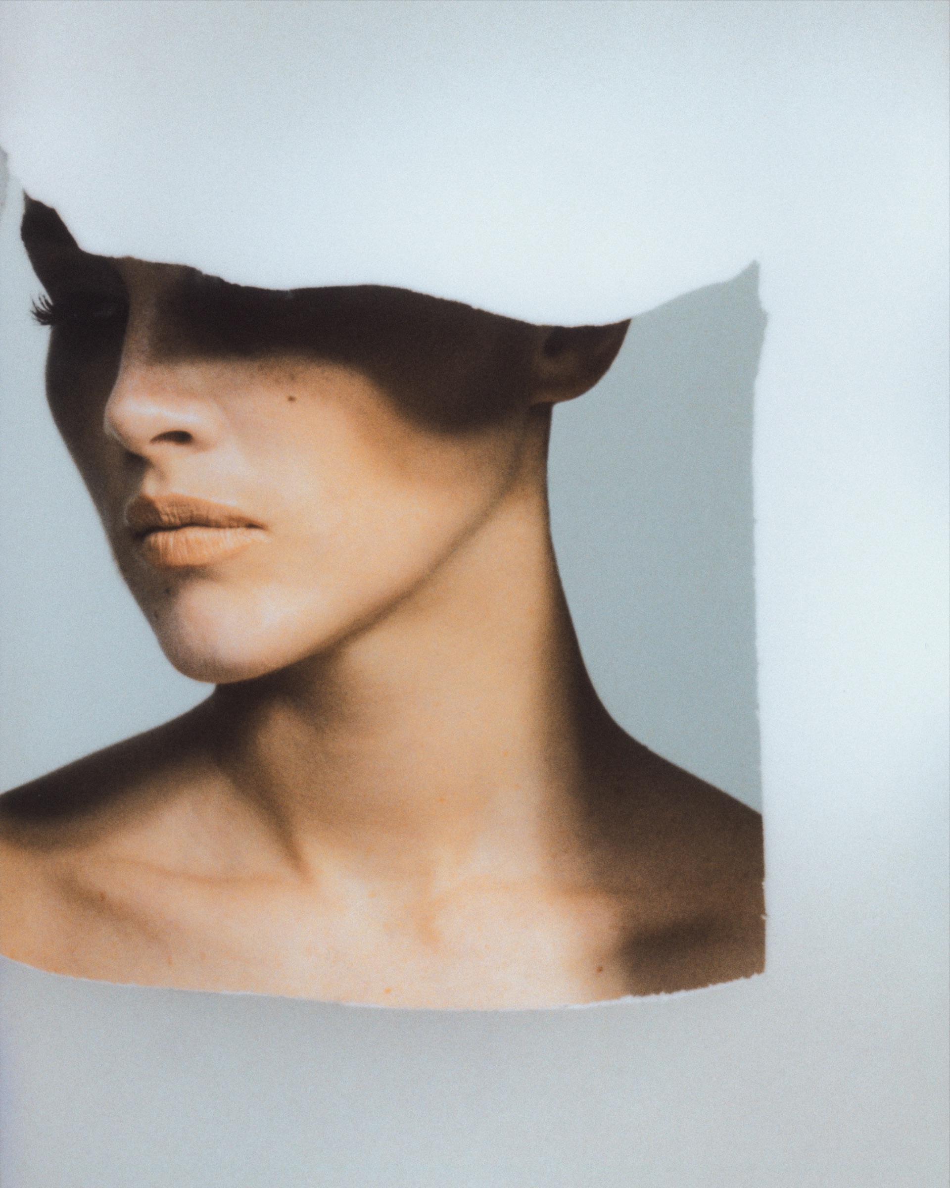 Study VI — Mily 3