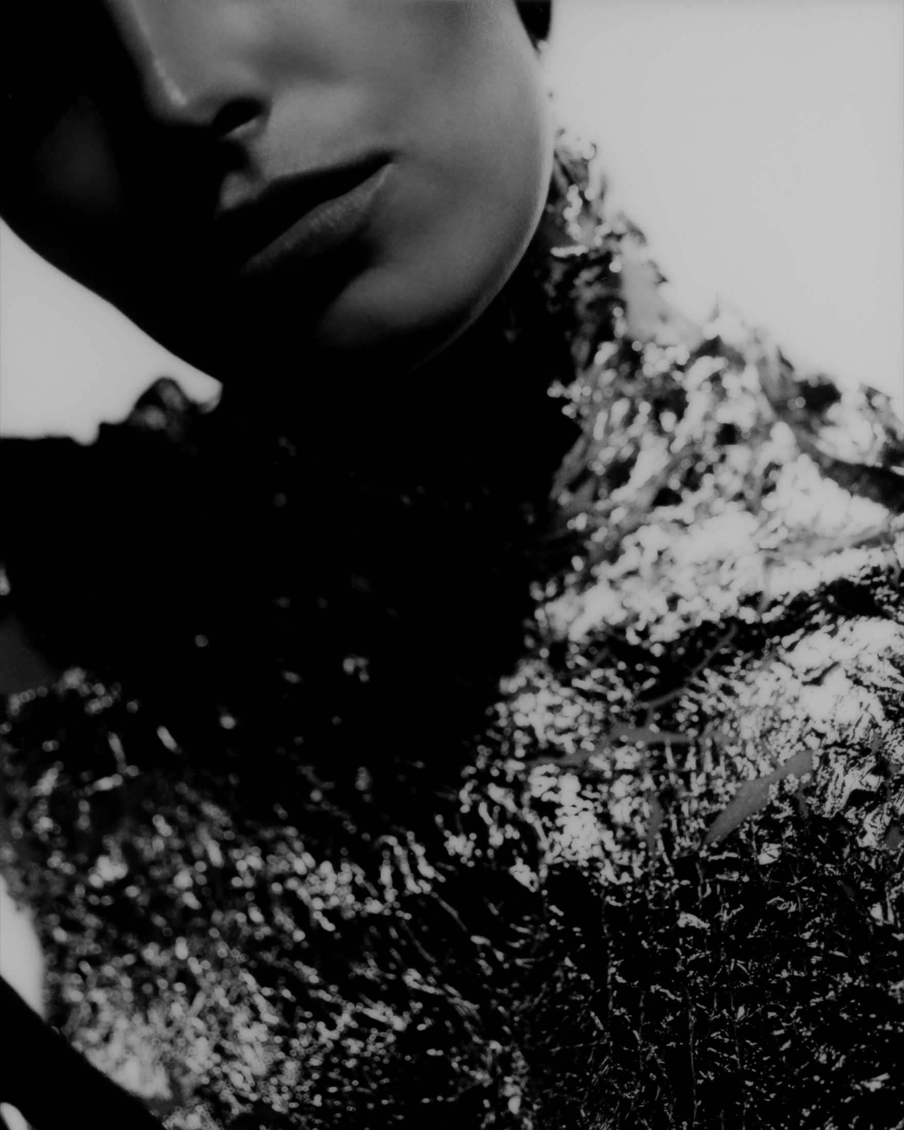 Study II — Pauline 3