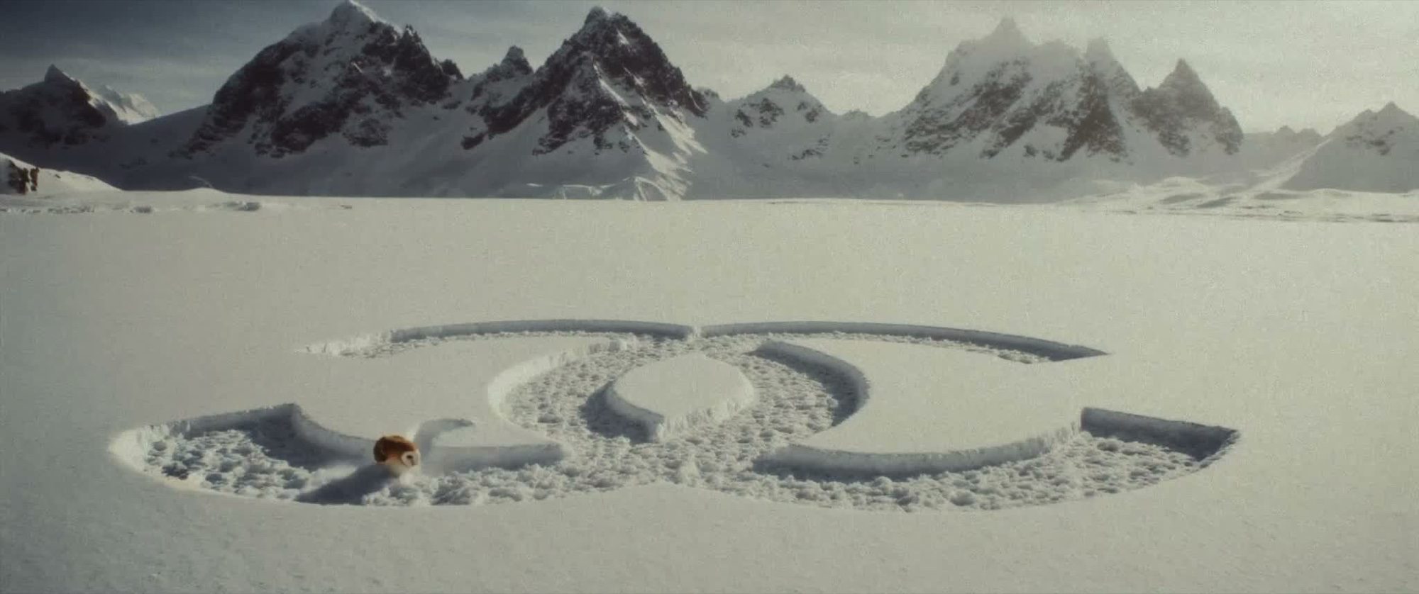 Chanel — Owl